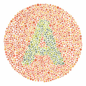 Designing for Color-Blind Inclusivity